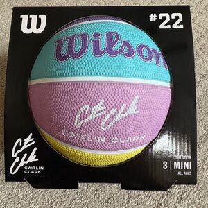 Wilson mini basketball